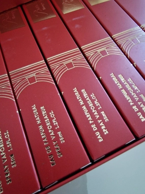 Parfémovaná toaletní voda inspirováno Baccarat 35ml