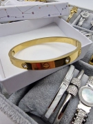 Luxusní pevný náramek Lora zlatý zirkony