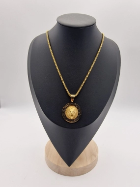 P4 Unisex náhrdelník s medailonkem lví hlava vzor