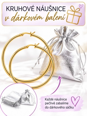 NAS006 Kruhové náušnice z chirurgické oceli stříbrné 3 cm